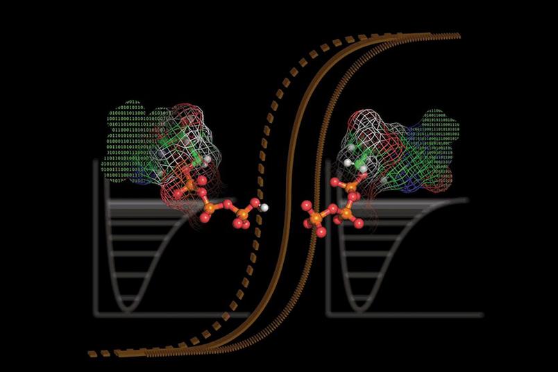 Grafik Protein