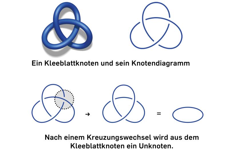 Grafische Darstellung von verschiedenen Knoten und Knotendiagrammen