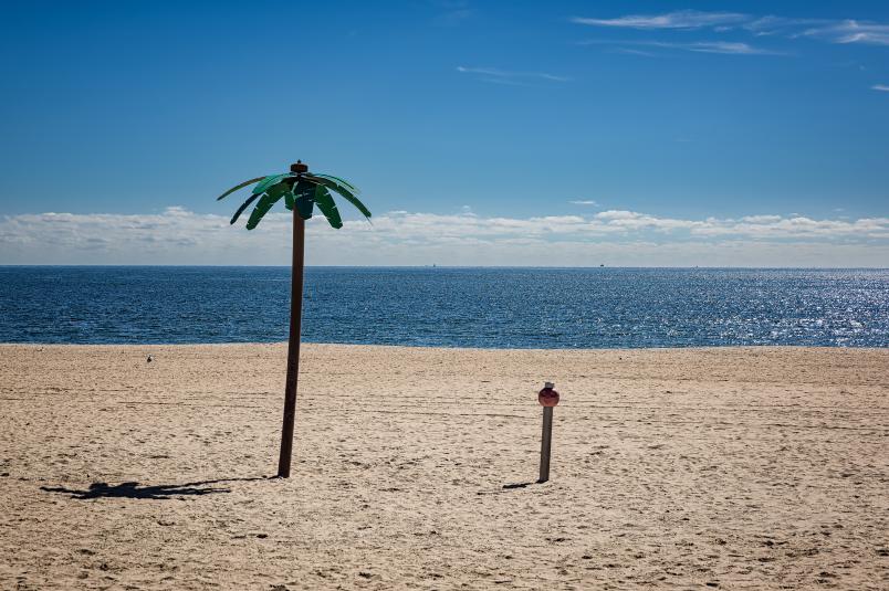 Ein Strand mit einer künstlichen Palme