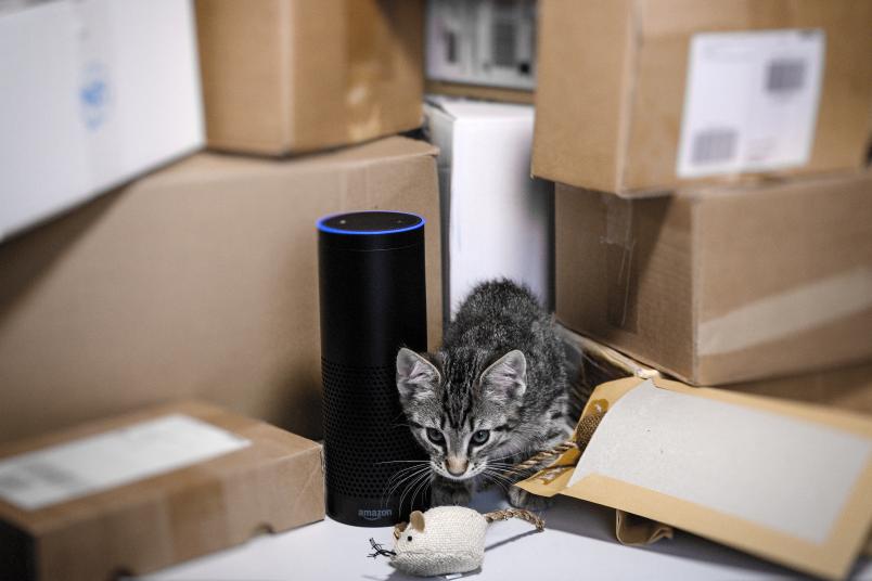 Katze mit Sprachassistent zwischen Paketen