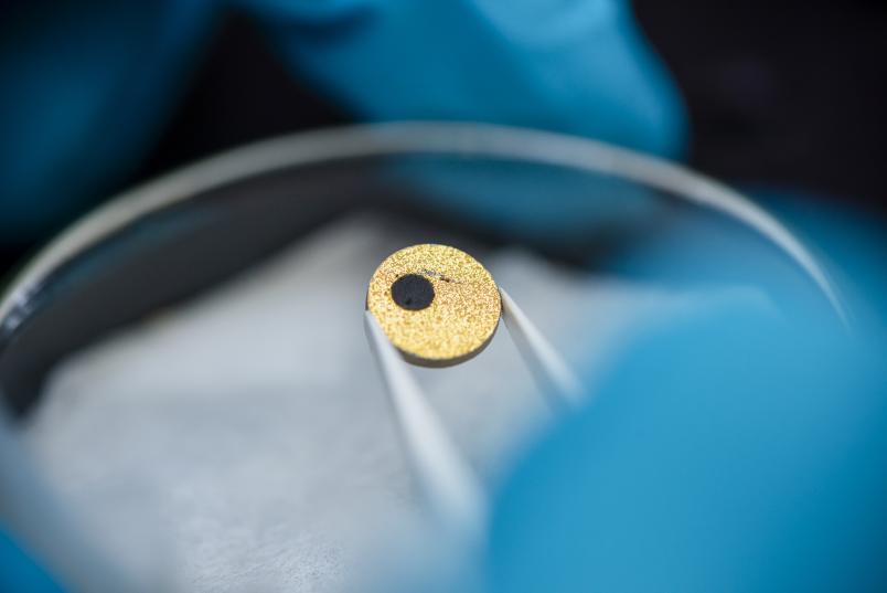 Eine Pinzette hält eine runde goldene Scheibe