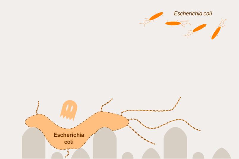 Schema dritter Teil