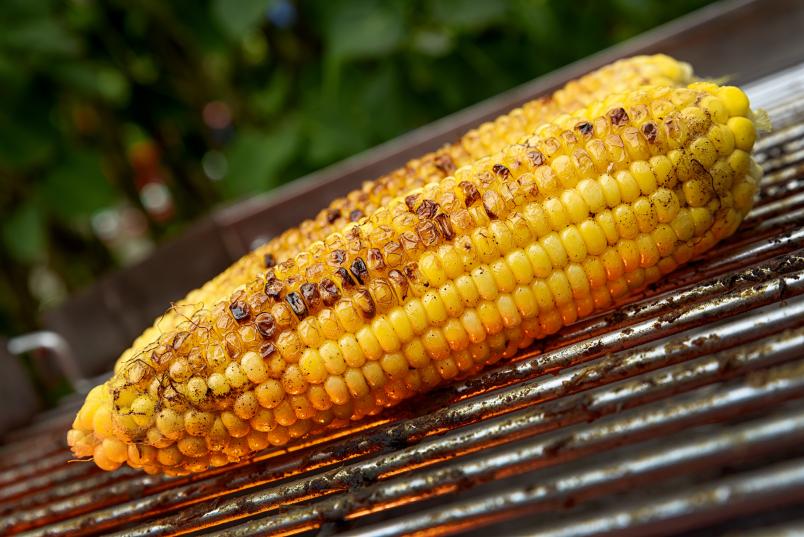 Maiskolben auf Grill