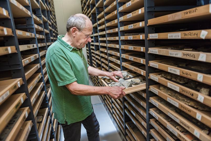 Jörg Mutterlose in der paläontologischen Sammlung