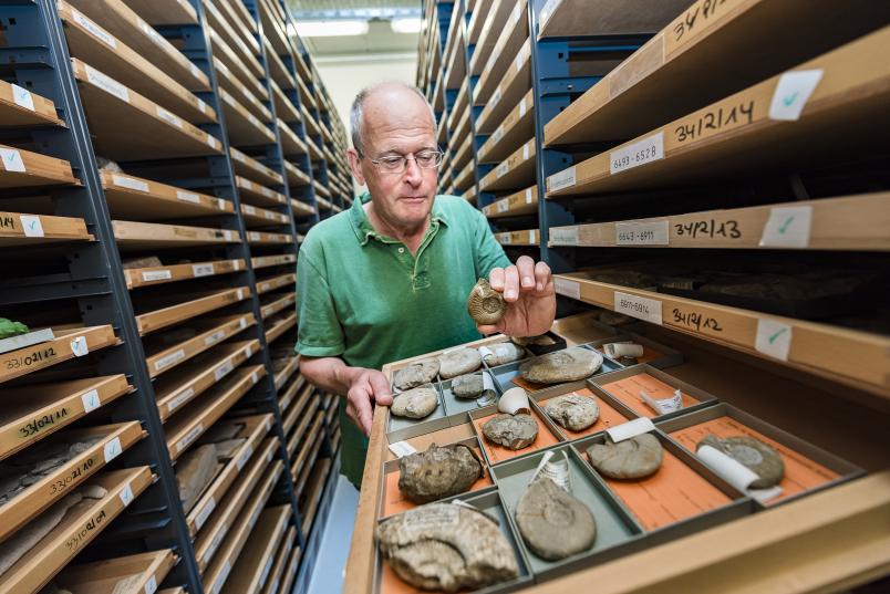 Jörg Mutterlose mit Fossilien