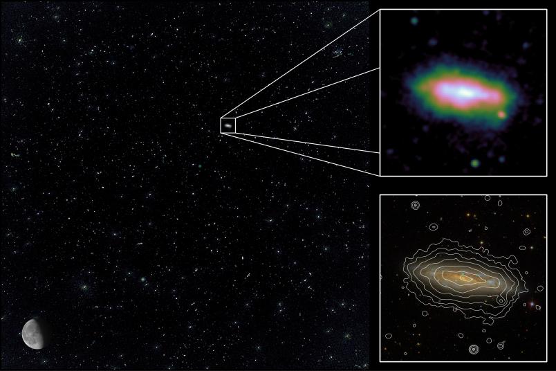 Bild der Galaxie NGC 3556 