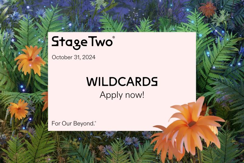 Flyer für das Stage Two Wildcard Event.