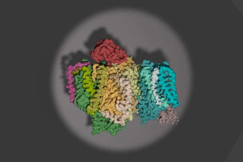 Photosystem II