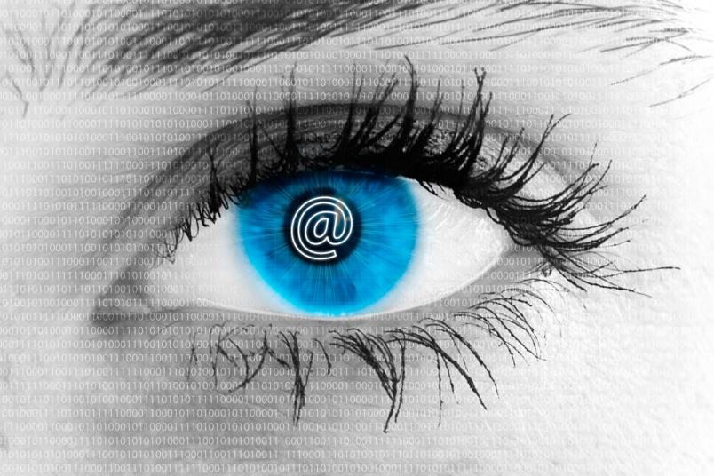 Auge 