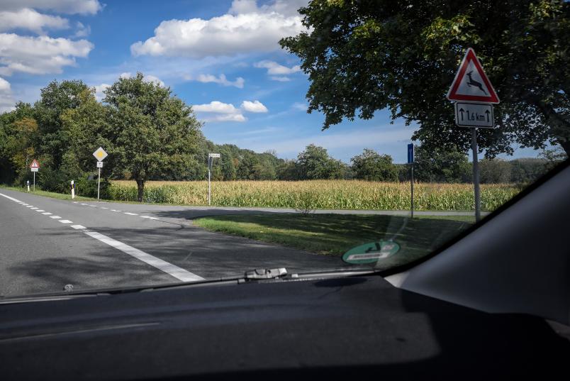 Blick aus dem fahrenden Auto