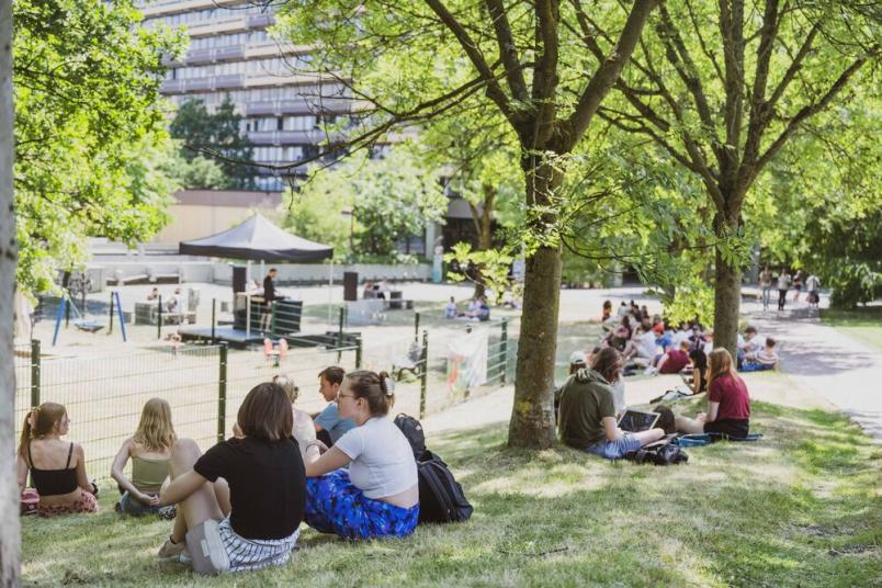 Studierende sitzen auf einer Wiese.