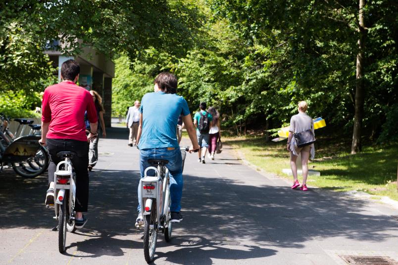 Zwei Männer auf Fahrrädern von hinten