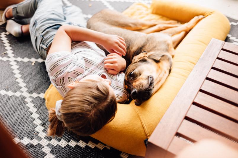 Hund mit Kind auf Sofa