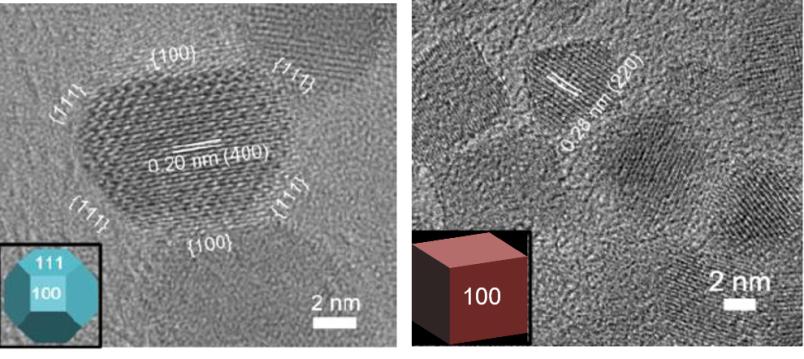 Mikroskopische Aufnahme von verschieden geformten Nanopartikeln