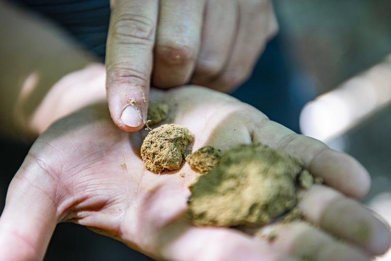 Eine Hand mit Bodenkugeln