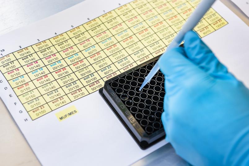 Pipette tropft Proben in ein Behältnis