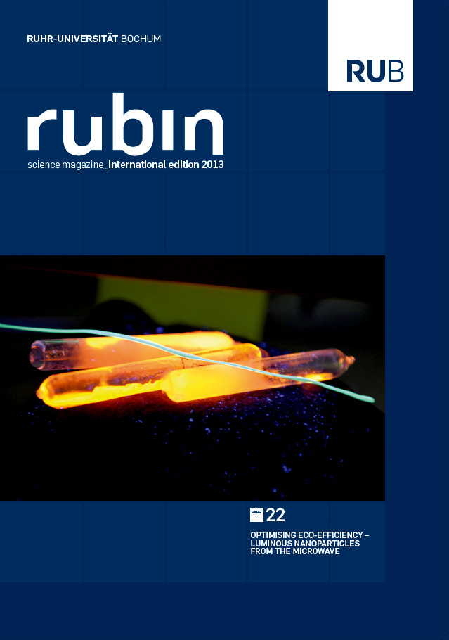 2013-international_edition_rubin_cover.jpg