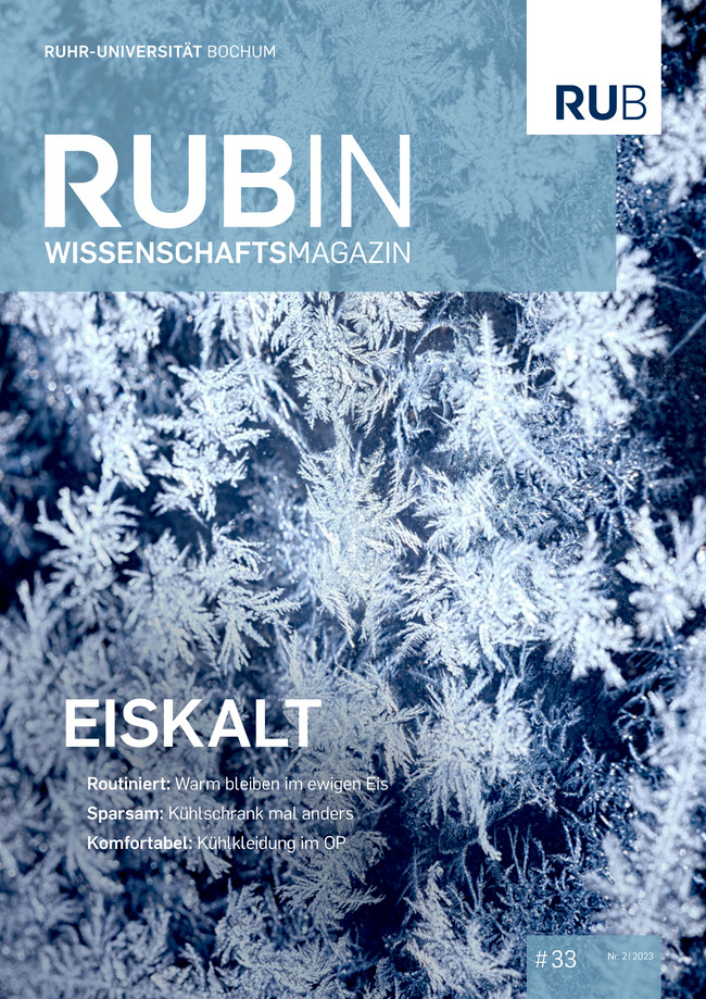 Cover von Rubin mit Detailfoto von Eiskristallen