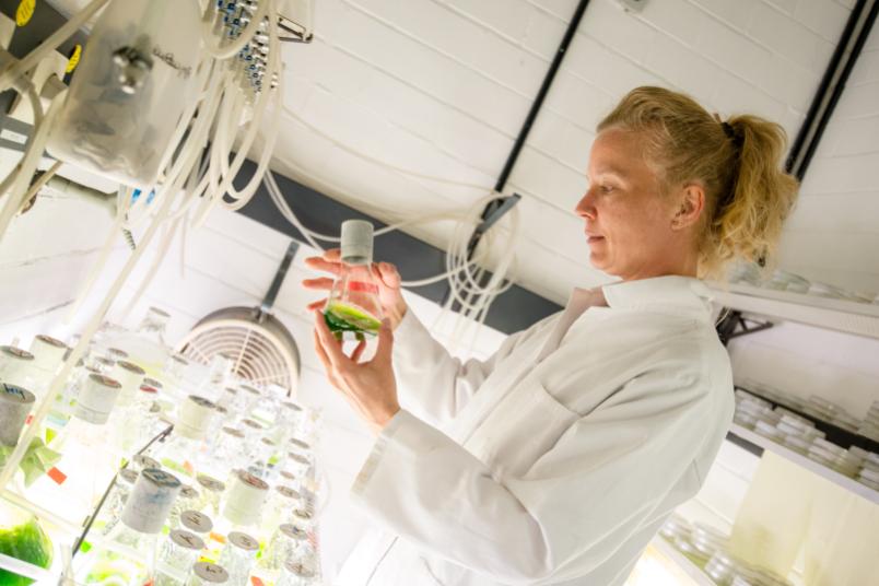 Anja Hemschemeier im Labor