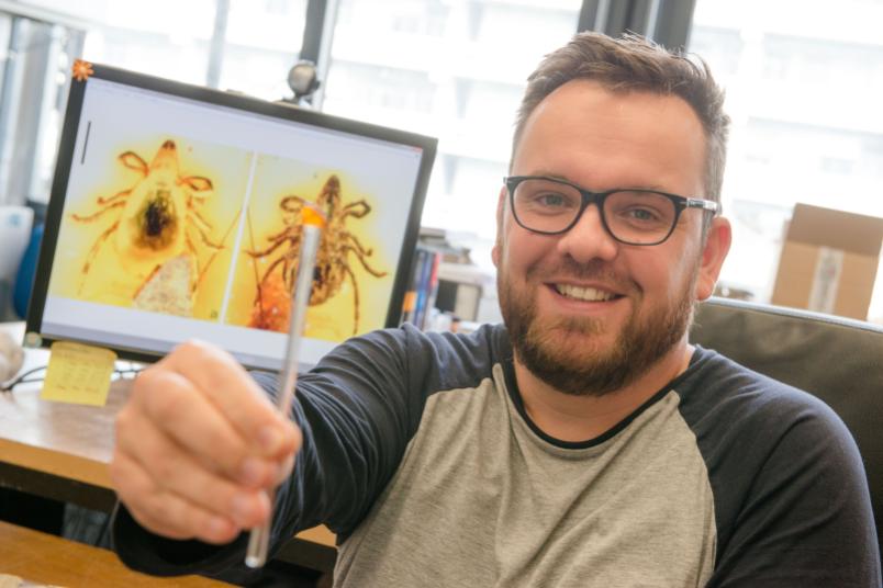 Ein Mann hält eine winzige Bernsteinprobe in die Kamera.
