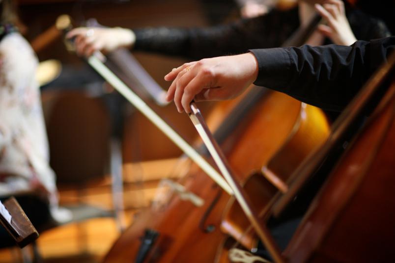 Orchestermusiker in Nahaufnahme.