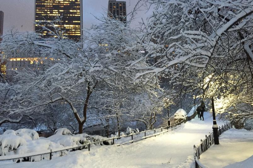 Schneelandschaft in einer Großstadt (New York, Central Park)