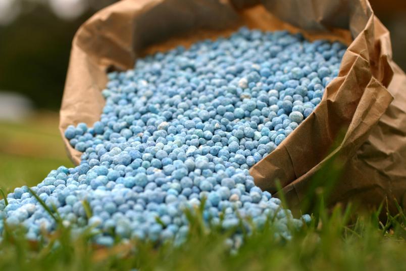 Blauer Dünger auf grünem Rasen