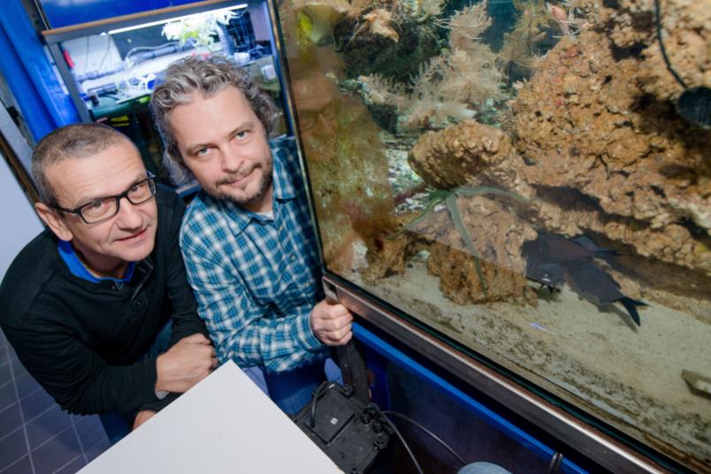 Zwei Forscher neben einem Aquarium