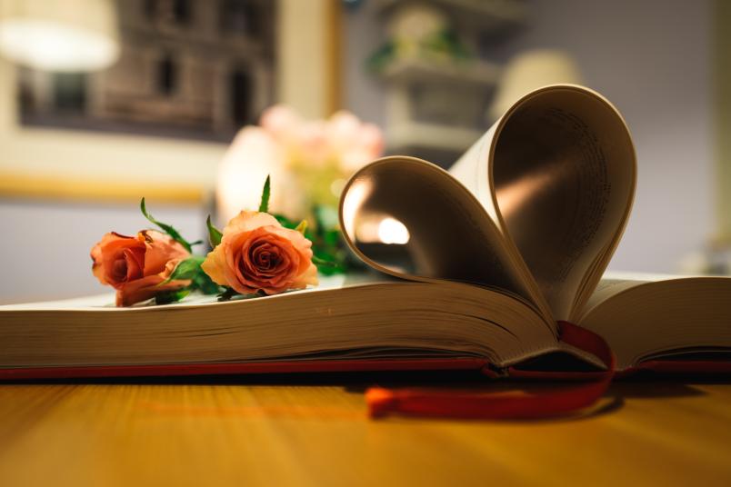 Rote Rosen auf einem Buch mit herzförmigen Seiten