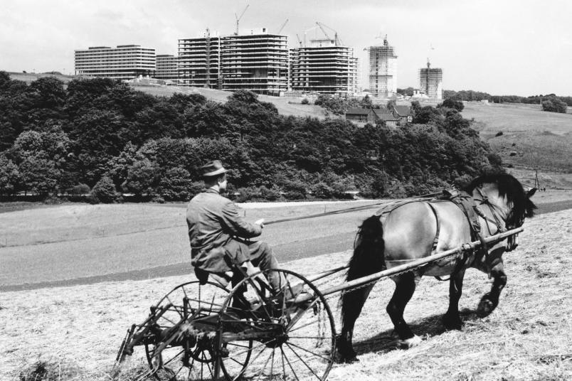 Bauer auf einem Feld