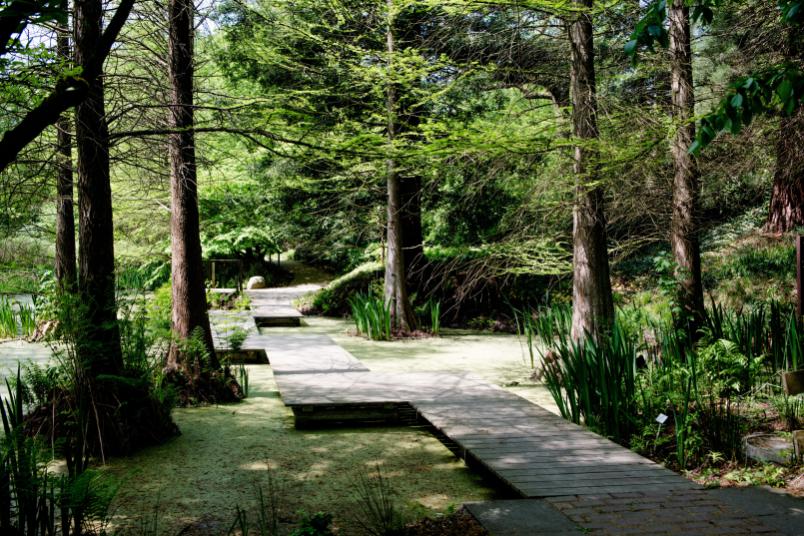 Bäume, Sträucher und Wege im Botanischen Garten der RUB