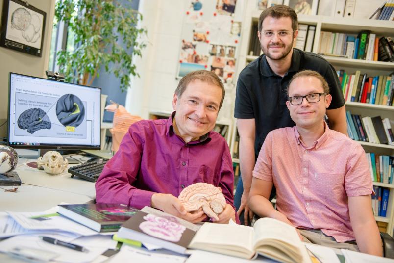 
	Die Biopsychologen Onur Güntürkün, Erhan Genç und Sebastian Ocklenburg (von links) ergründen die Funktionsweise des Gehirns.
