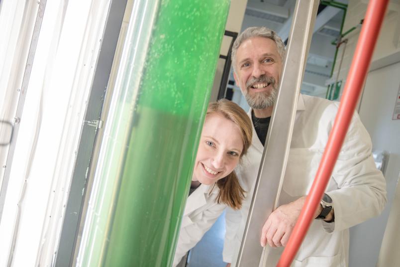 
	Jacqueline Thiemann und Marc Nowaczyk interessieren sich für Proteinkomplexe in Cyanobakterien, die sie an der Ruhr-Universität in großen Tanks halten.
