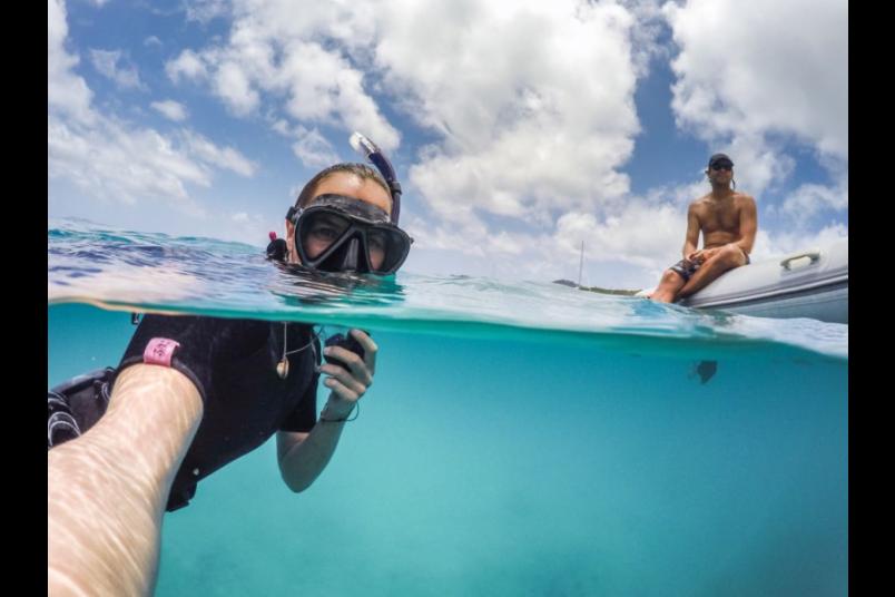 
	Teilnehmer einer Expedition auf die Seychellen, wo sie Korallenriffe inspizieren.
