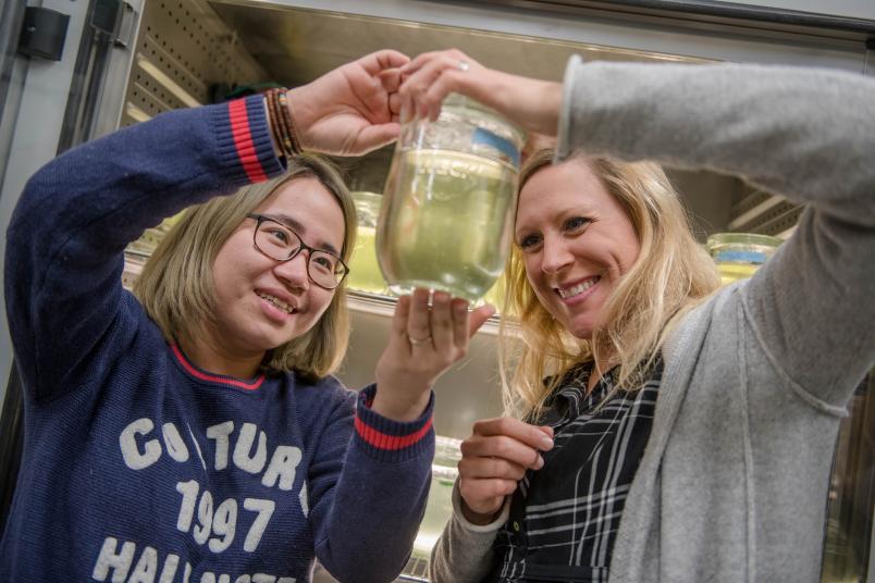 Luxi Chen und Linda Weiss untersuchen Wasserflöhe