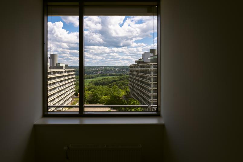 Blick aus Fenster