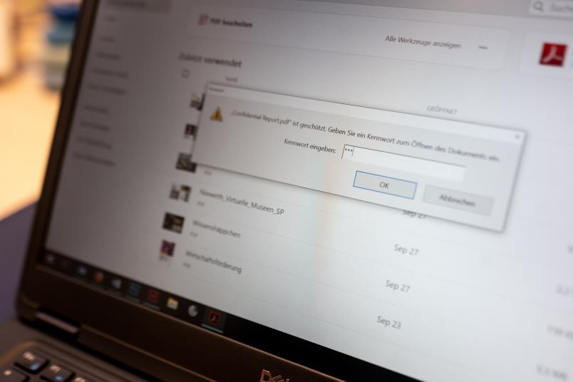 Kennworteingabe auf Monitor