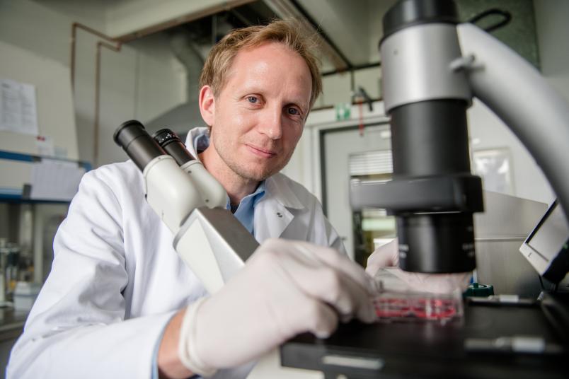 
	Thorsten Müller forscht in Bochum mit sogenannten Organoiden aus Stammzellen, die wie ein Mini-Gehirn funktionieren.
