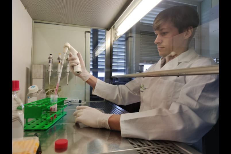 Ruhr-Universität Bochum, Virologie, Forschung