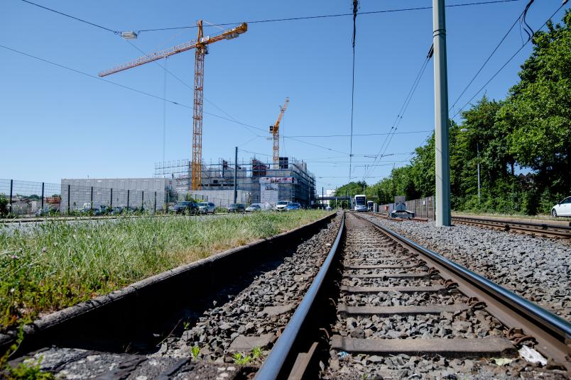 
	Zess entsteht an der Wittener Straße im Stadtteil Laer. Diese Aufnahme stammt aus dem Monat Mai 2020.
