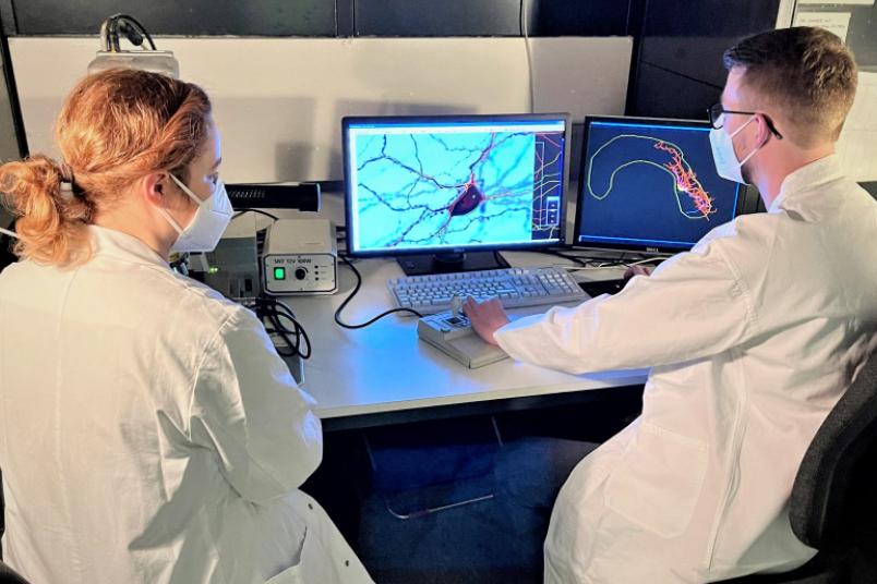 Zwei Personen vor einem Monitor mit einem Neuron