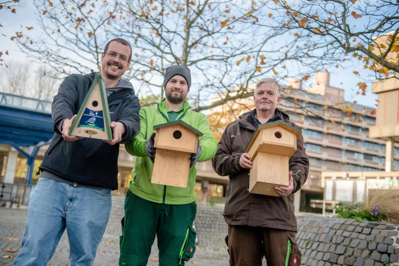 Jan-Niklas Jahnke, Denis Drabinski und Harry Block