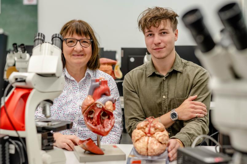 Zwei Personen mit anatomischen Modellen