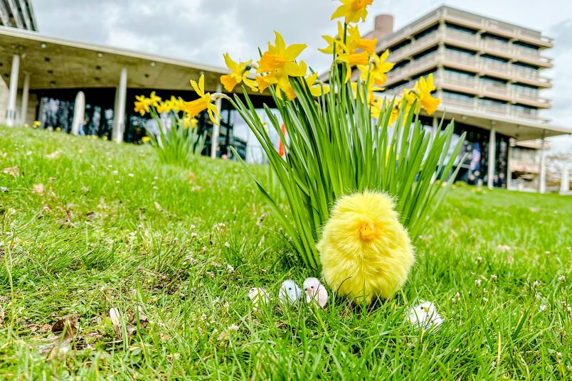 Osterimpression vom Campus
