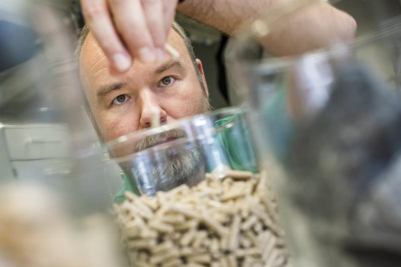 Jemand streut Holzpellets in ein Glas