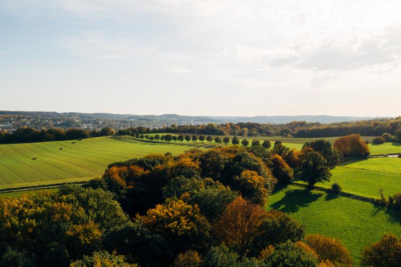 Panoramabild des grünen Umlands der Ruhr-Universität im Bochumer Süden.