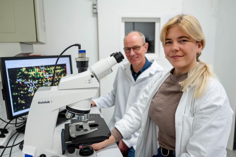 
	Dr. Anna-Maria Möller, Erstautorin der aktuellen Arbeit, und Prof. Dr. Franz Narberhaus (links) widmen sich der Wirkungsweise von antibiotischen Wirkstoffen.
