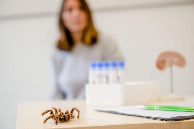 Spinne auf einem Tisch in einem Labor