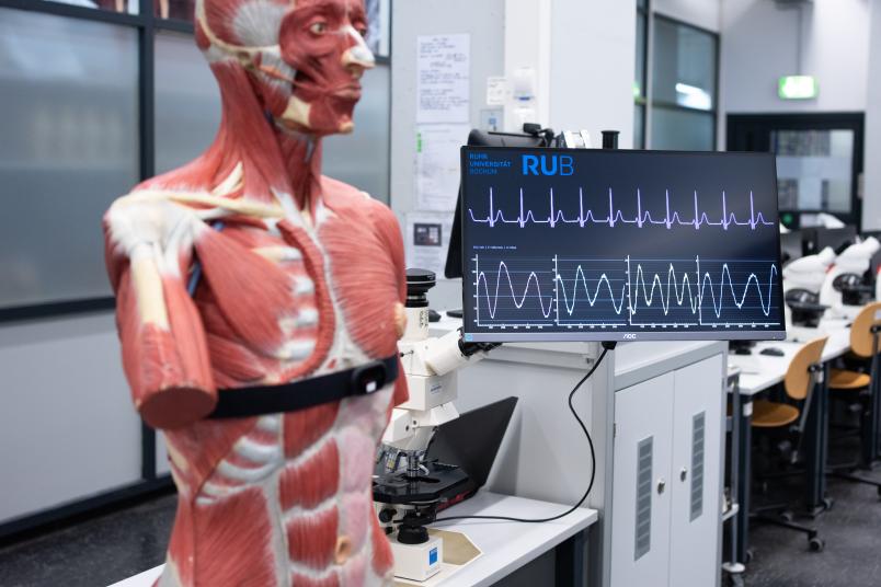 Modell eines Menschen mit Monitor