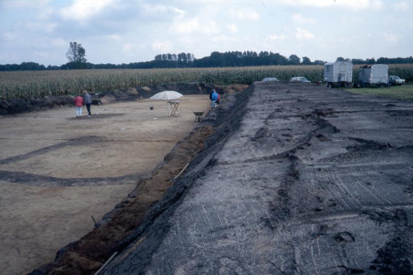 Eine archäologische Grabung am Rande eines Maisfelds